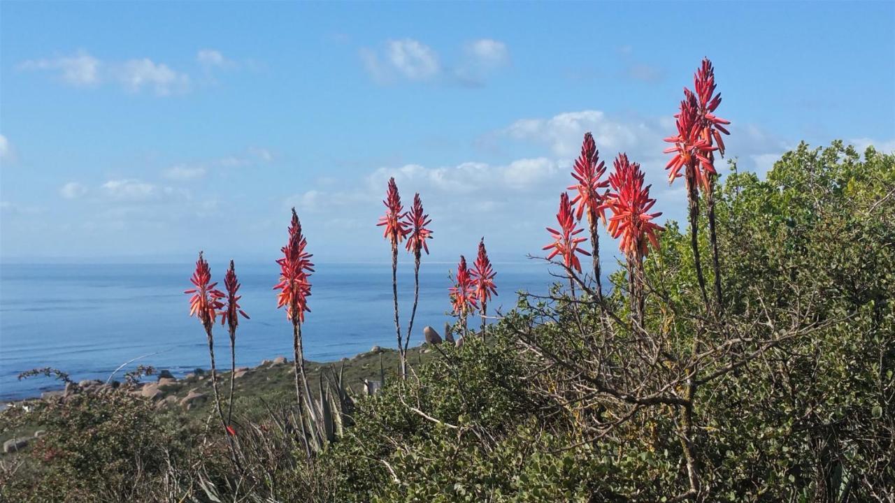 Onze Uitsight Cottage St Helena Bay Kültér fotó